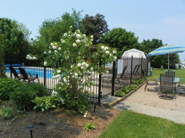 Lakeview Motel & Cottage Кинкардин Екстериор снимка